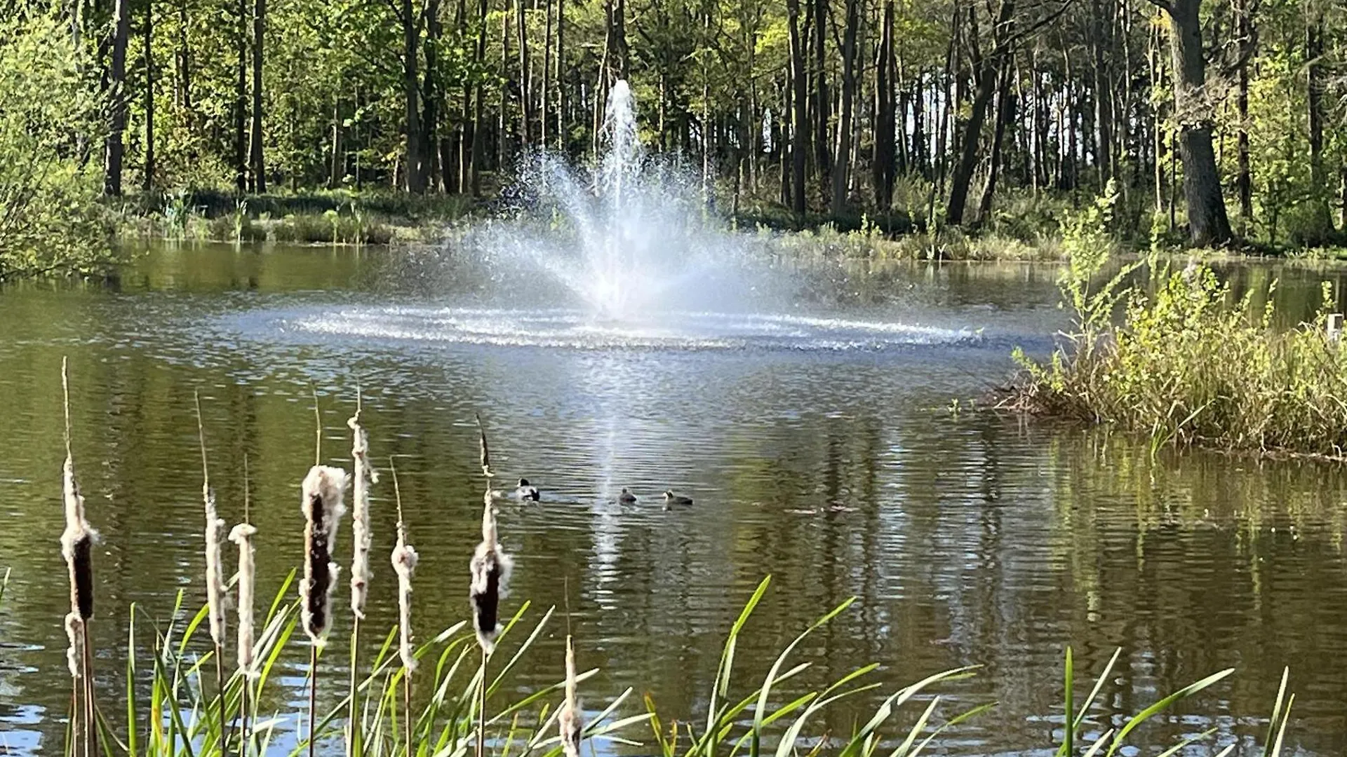 Rowan Boutique Lodge For Couples With A Dog York