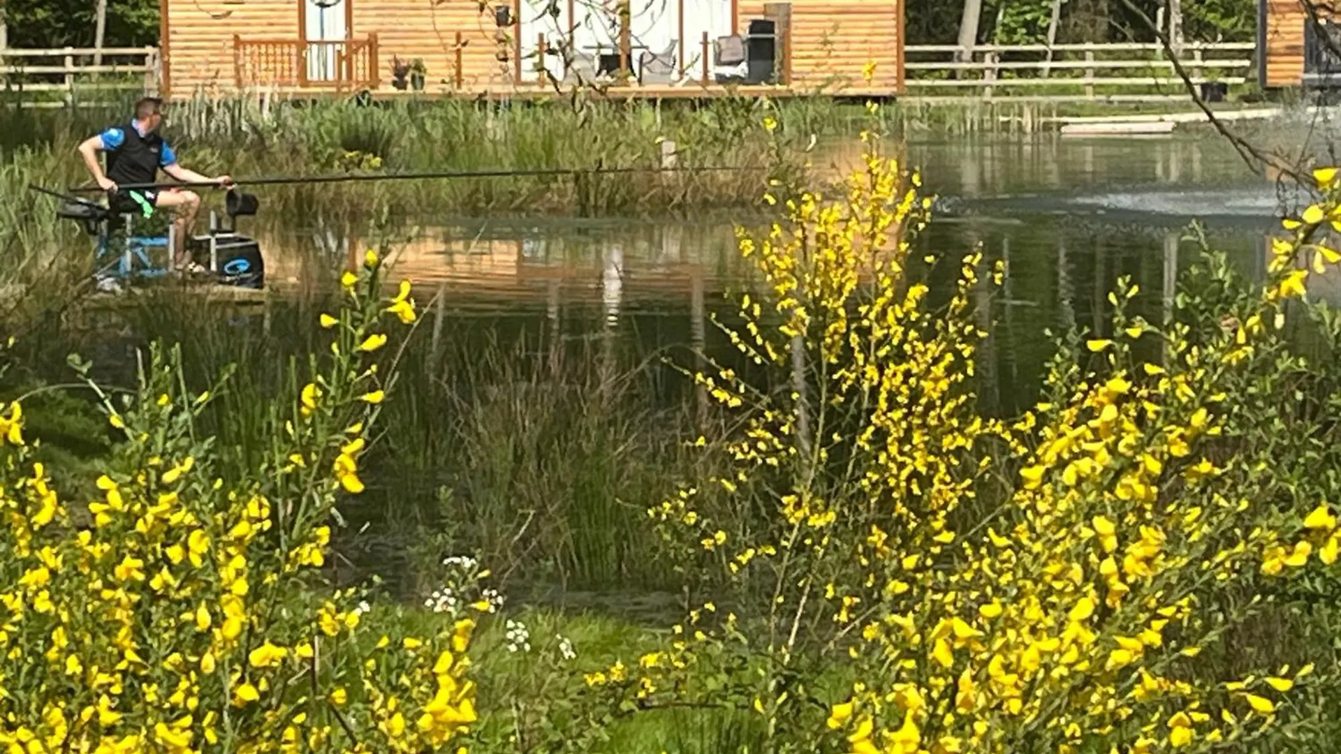 Casa vacanze Rowan Boutique Lodge For Couples With A Dog York