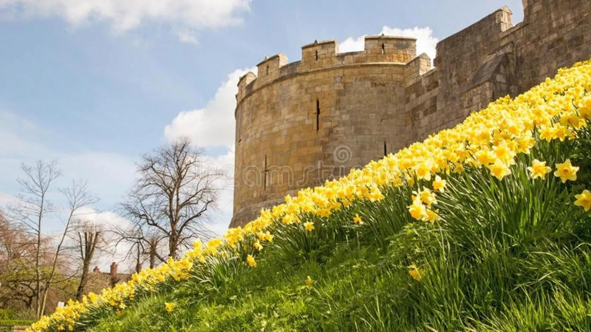Rowan Boutique Lodge For Couples With A Dog York Casa vacanze